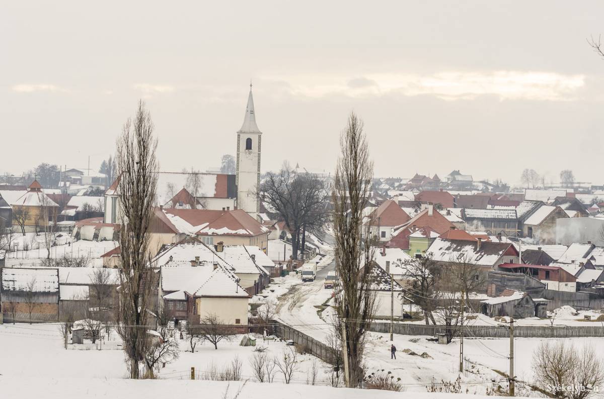 Idén először Csíkszentkirályon láttak medvét &bullet;  Fotó: Veres Nándor
