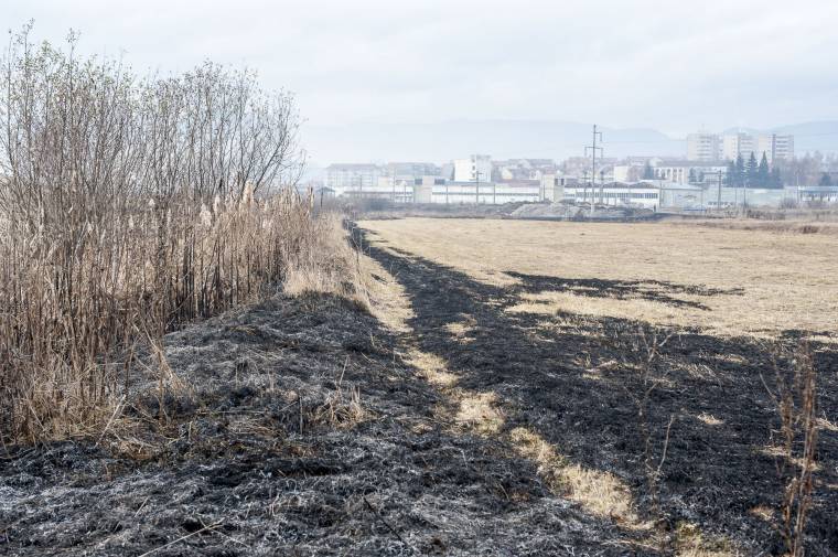 Öt nap után eloltották a gyergyóvárhegyi bozóttüzet