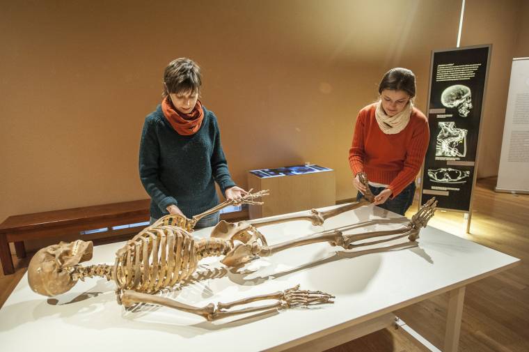 Az emberi test tisztelete