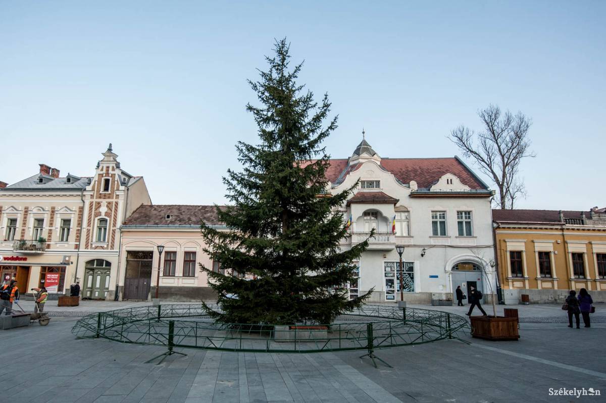 •  Fotó: Kristó Róbert