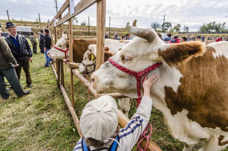 Gazdáké lesz a hétvége