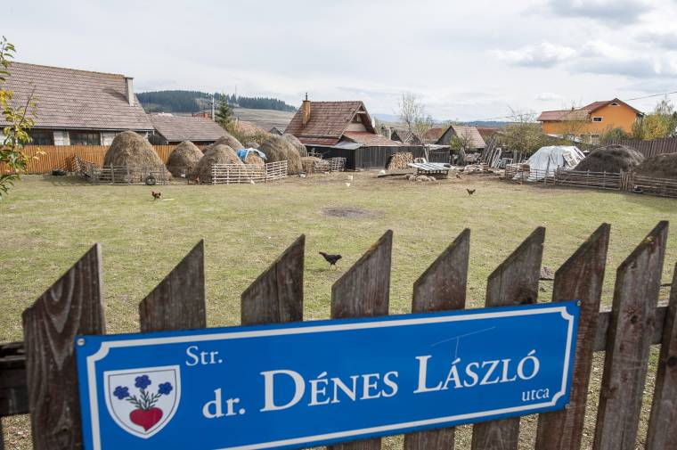 Városi juhok, tyúkok, kecskék, libák