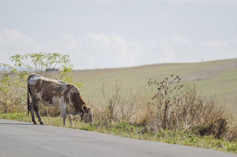 Még maradt idő a teljes értékű támogatás igénylésére
