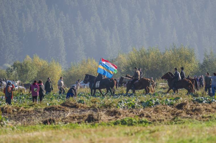 Noha ezen a hétvégén a káposztáé a főszerep, a „mellékszereplőkre” is érdemes figyelni