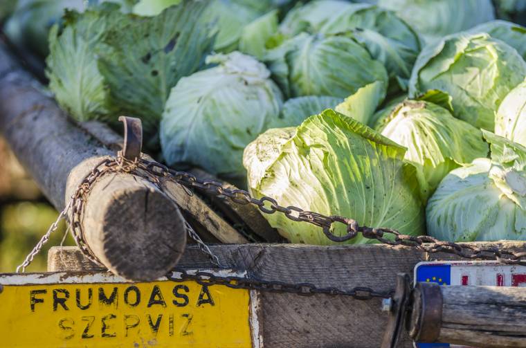 A Nád-dűlőben zárják a mezőgazdasági évet