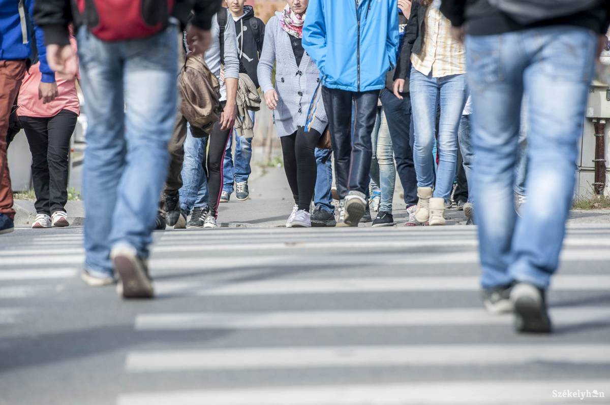 Krónikus betegségben szenvedő, baleset, betegség vagy árvaság miatt nehéz helyzetbe került vásárhelyi diákokat támogatnak. Illusztráció •  Fotó: Kristó Róbert