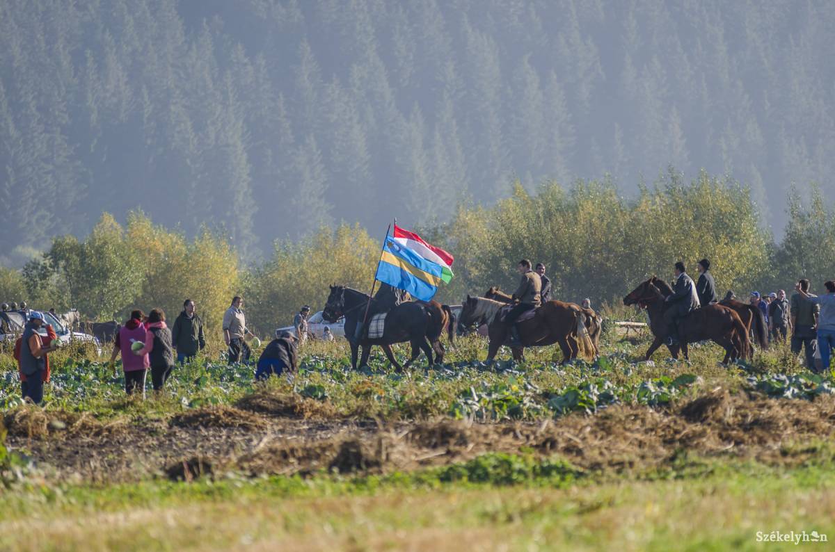 A szépvízi Nád-dűlő •  Fotó: Veres Nándor