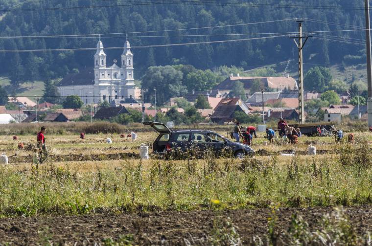 Összesítették az aszálykárokat Hargita megyében