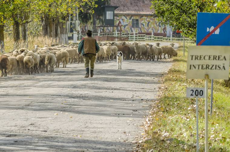 Pénzt remélnek az aszfaltozásra