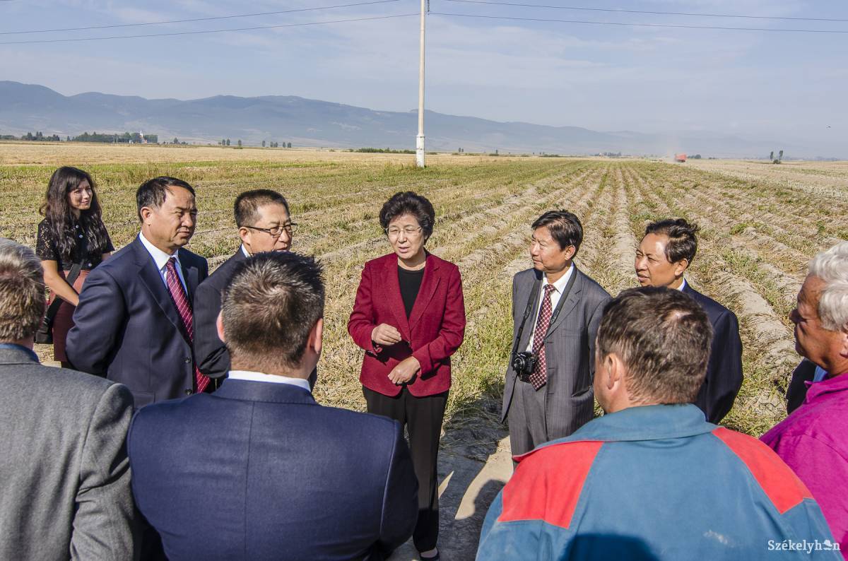 Képünk illusztráció • Fotó: Veres Nándor