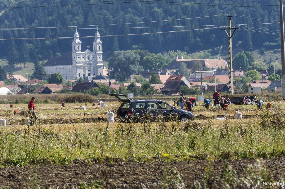 &bullet;  Fotó: Veres Nándor