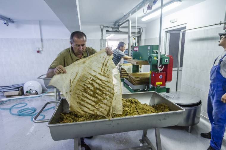 Működtetőt vált a madéfalvi gyümölcsfeldolgozó