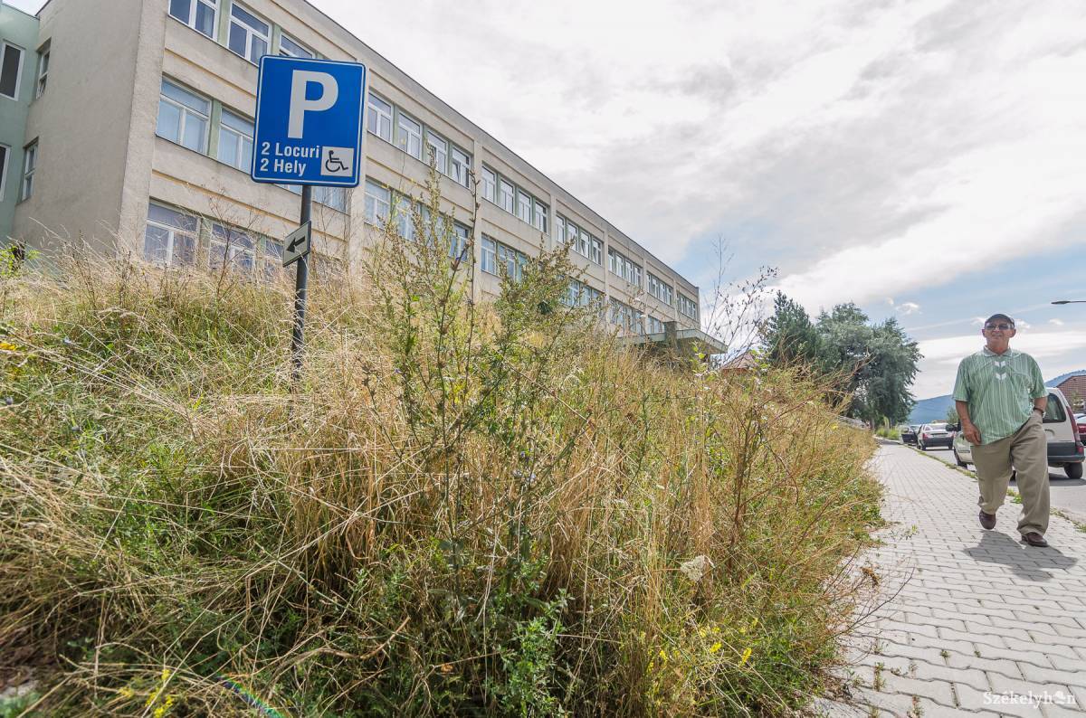 Sok erdélyi településen sem jobb a helyzet. Egy székelyföldi kórház melletti sétány •  Fotó: Veres Nándor