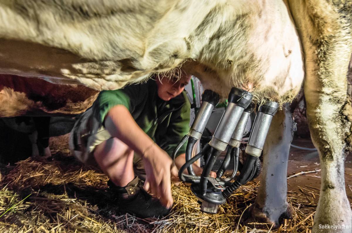 &bullet;  Fotó: Veres Nándor