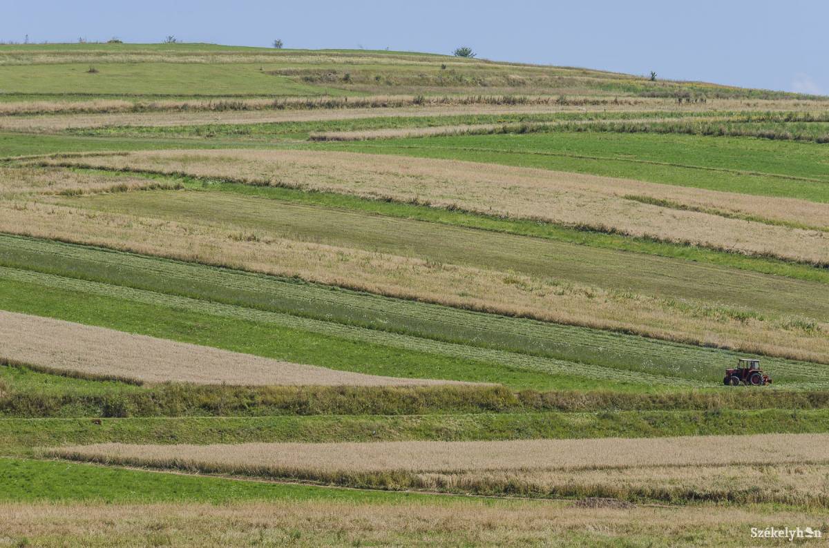 &bullet;  Fotó: Veres Nándor