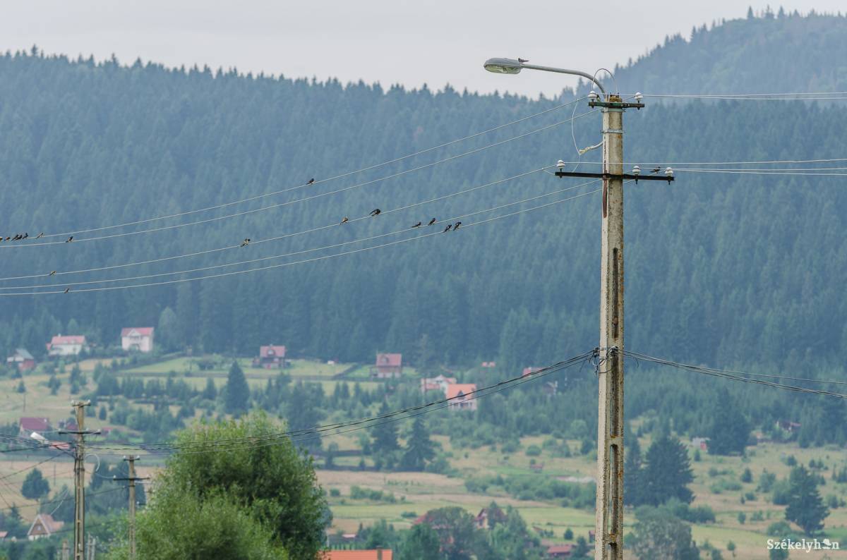 &bullet;  Fotó: Veres Nándor