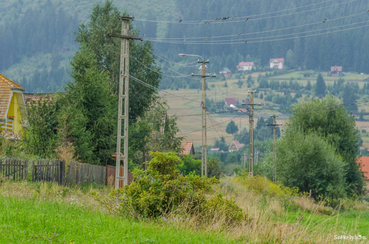 •  Fotó: Veres Nándor