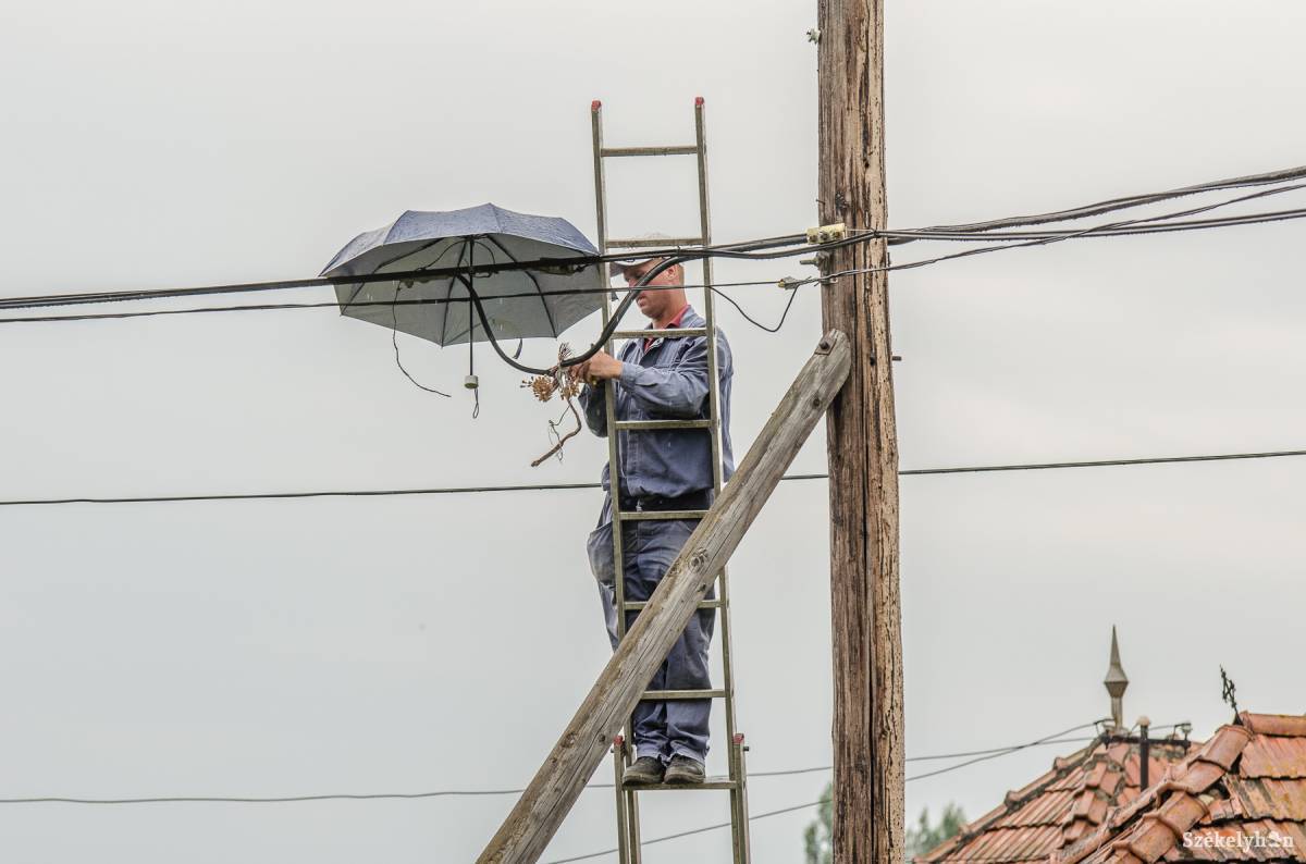 •  Fotó: Veres Nándor