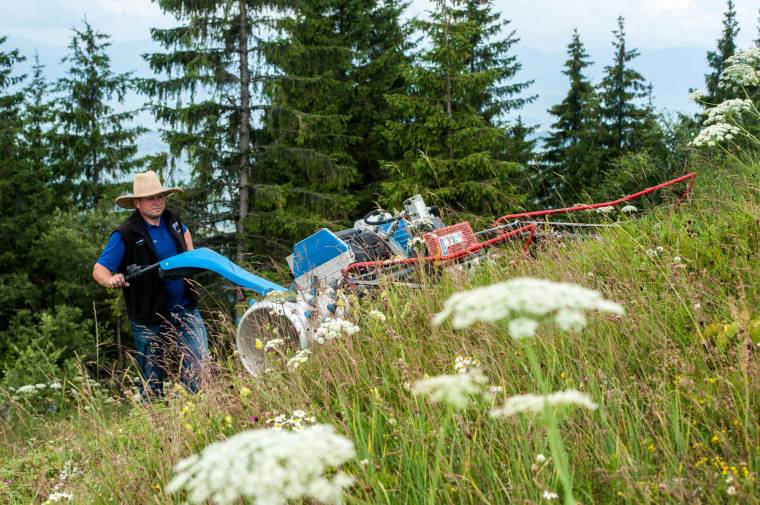 Kaszálók „szépségversenye”