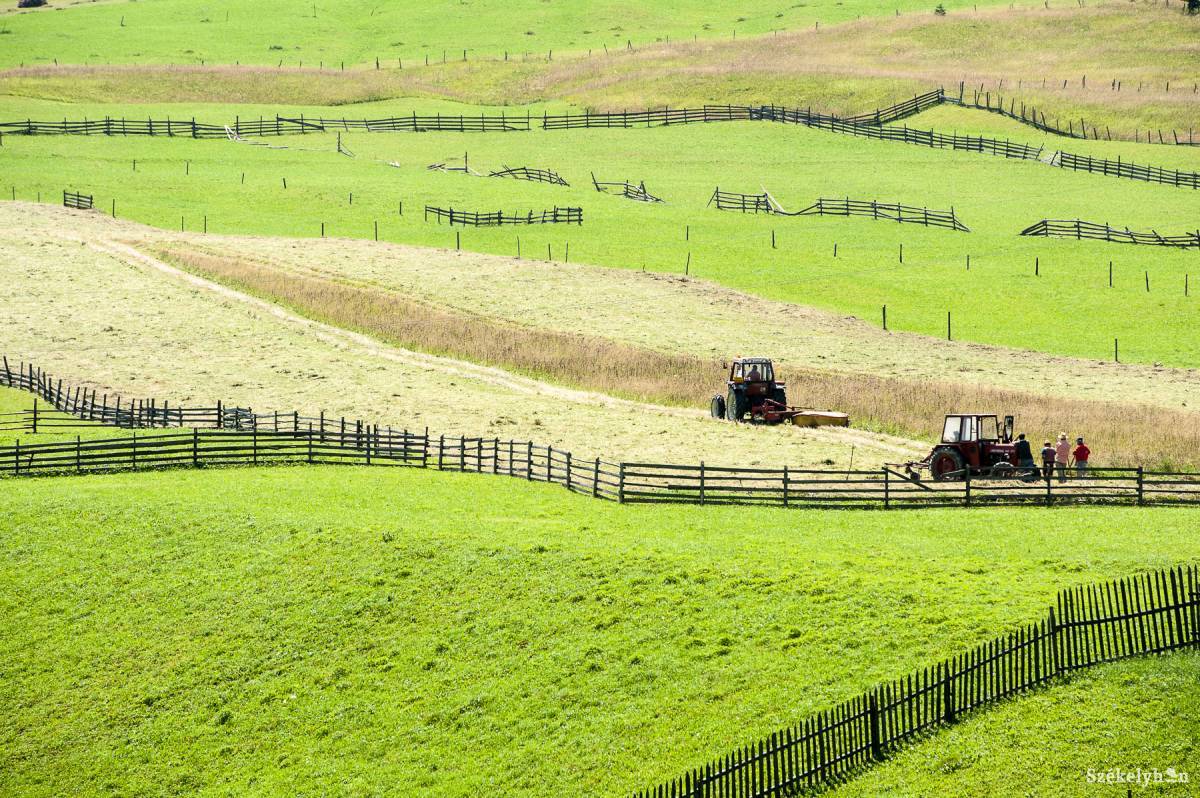 Hegyvidéken nehezítettek a körülmények a gazdálkodáshoz. Ezen próbálnának segíteni a minősítéssel. Archív • Fotó: Kristó Róbert