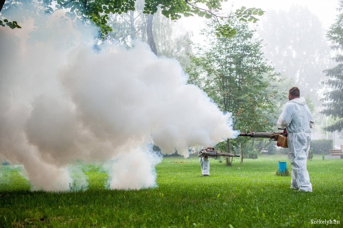Képünk illusztráció •  Fotó: Kristó Róbert