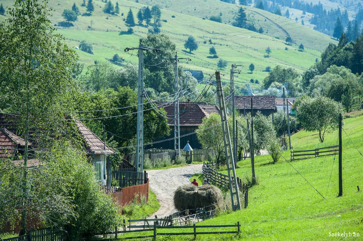 •  Fotó: Kristó Róbert