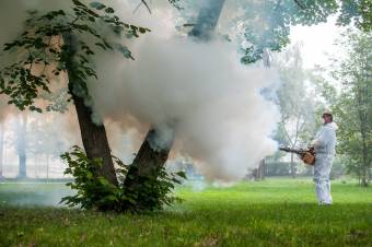 Szúnyogirtás lesz Kézdivásárhelyen