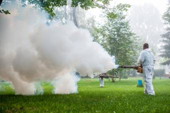 Szúnyogirtás lesz Szentegyházán