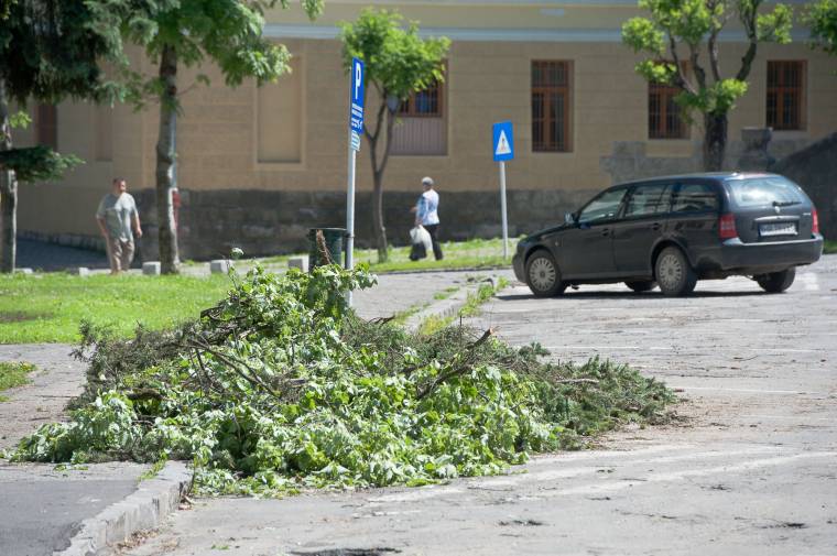 Vihar után helyreállítás