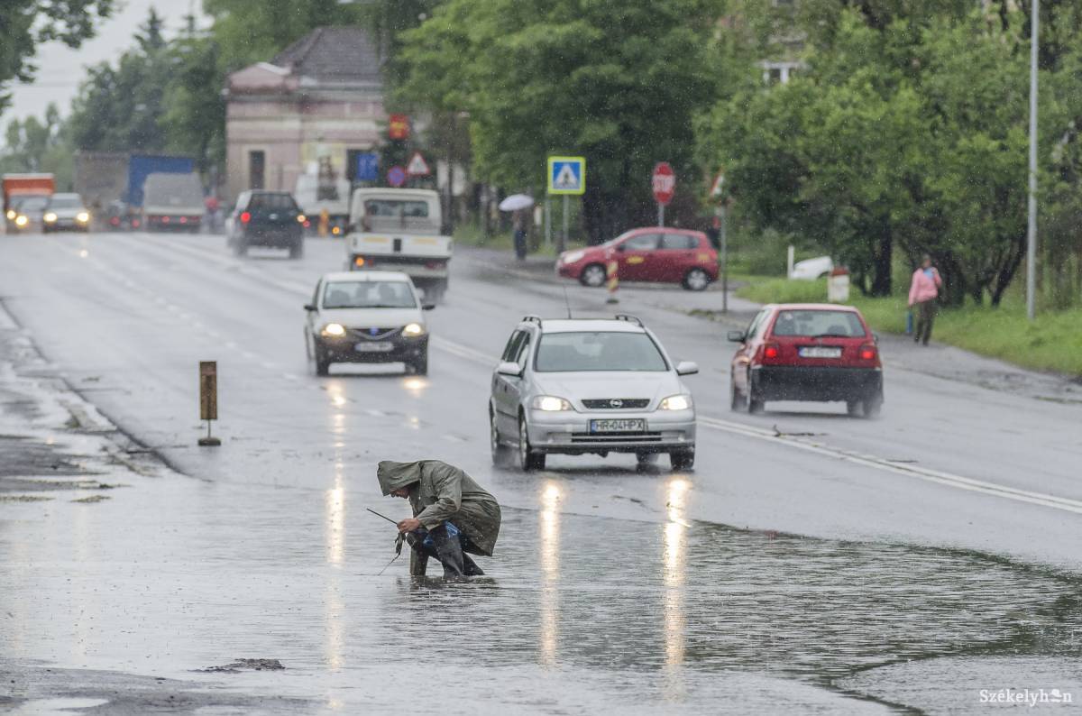 •  Fotó: Veres Nándor