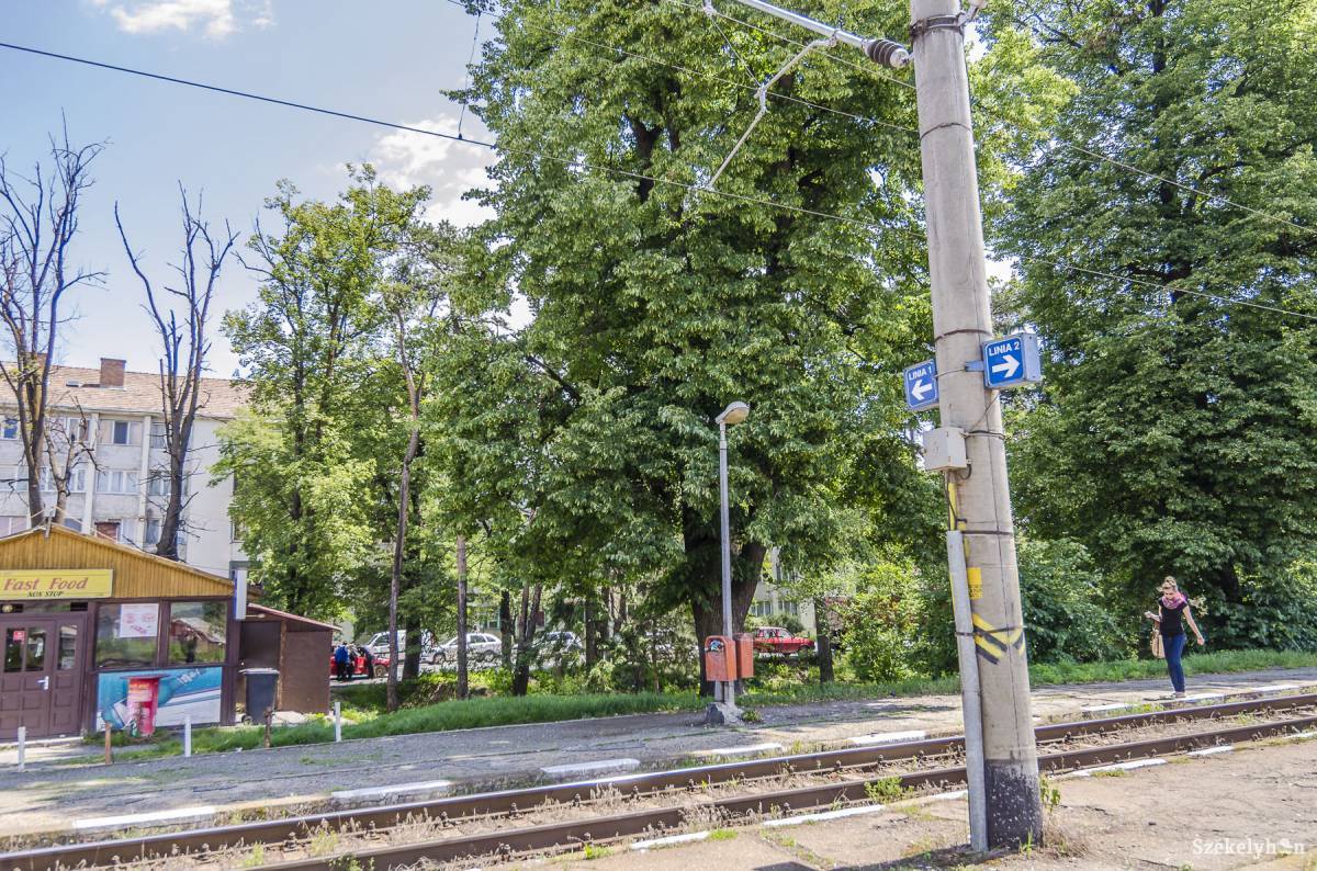 •  Fotó: Veres Nándor