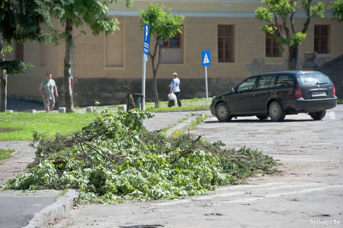 •  Fotó: Kristó Róbert