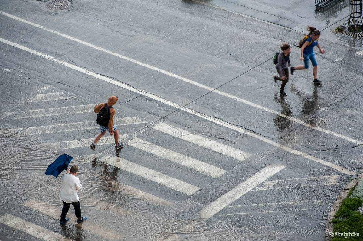 Illusztráció •  Fotó: Kristó Róbert