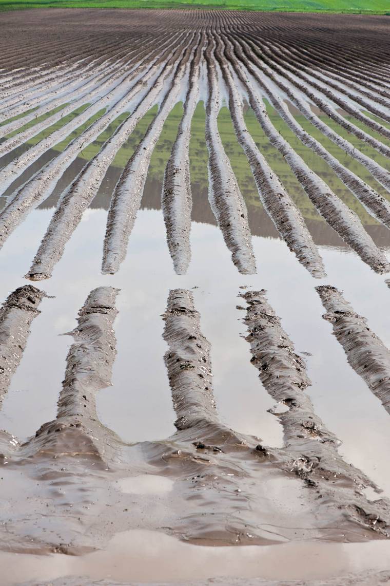 Árvíz pusztított Bardóc községben