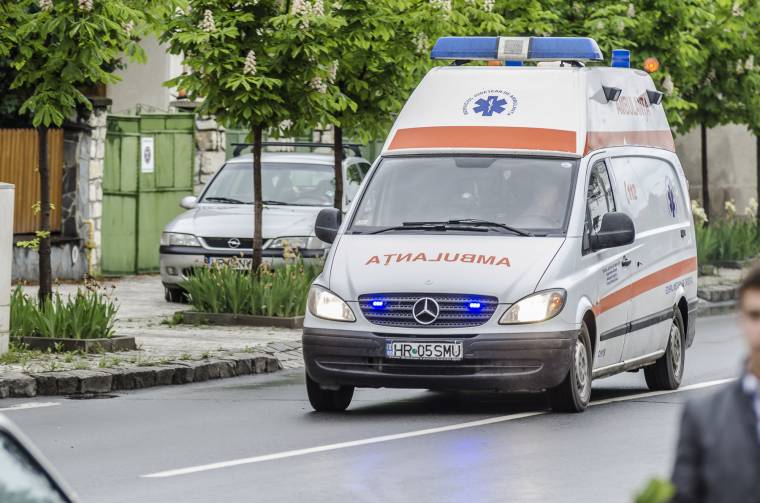 Tragédiával végződött a favágás