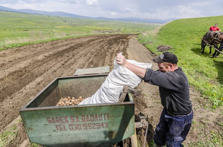 APIA: hétfőn rajtolt az egységes kérések leadása