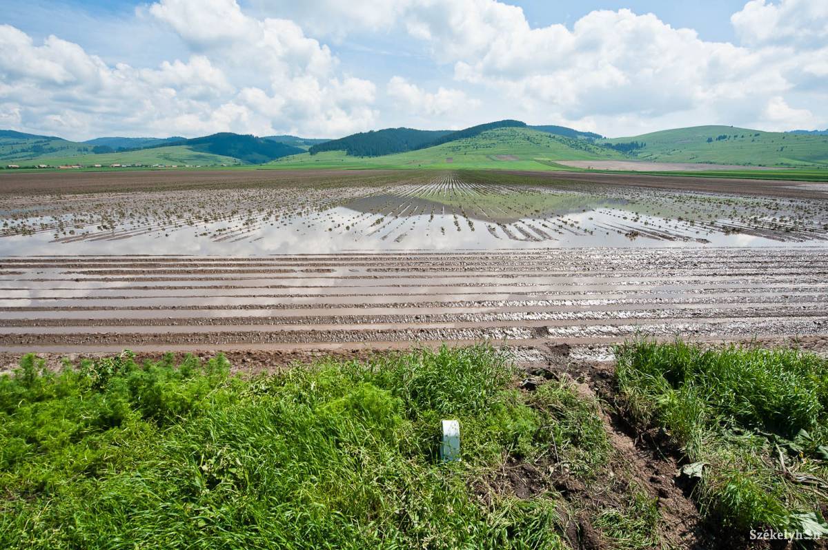 &bullet;  Fotó: Kristó Róbert