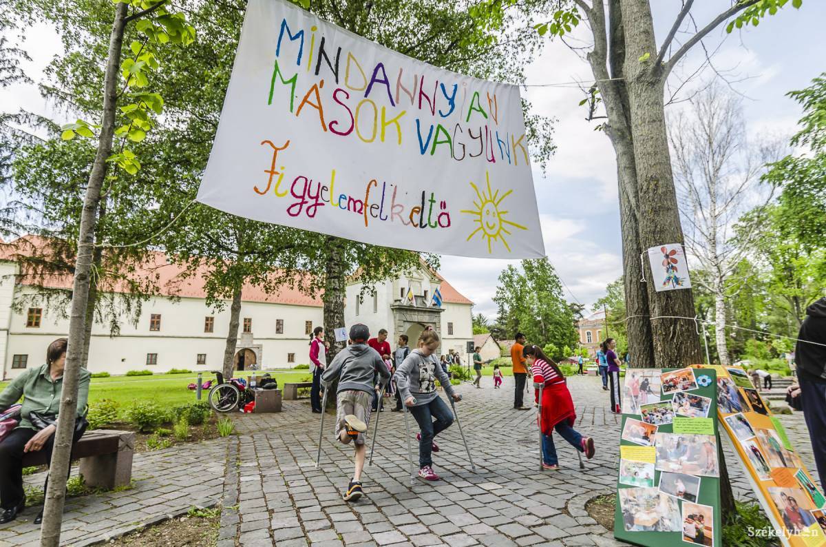 •  Fotó: Veres Nándor