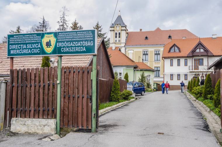 Költöznie kell az erdészetnek