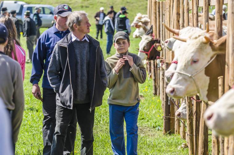 Jószágaikat vonultatják fel a gazdák