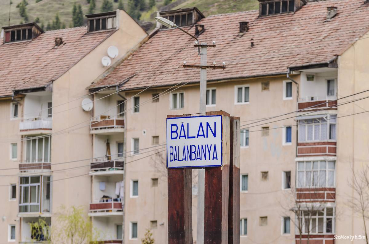 •  Fotó: Veres Nándor