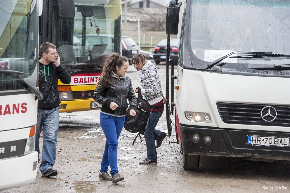 •  Fotó: Kristó Róbert