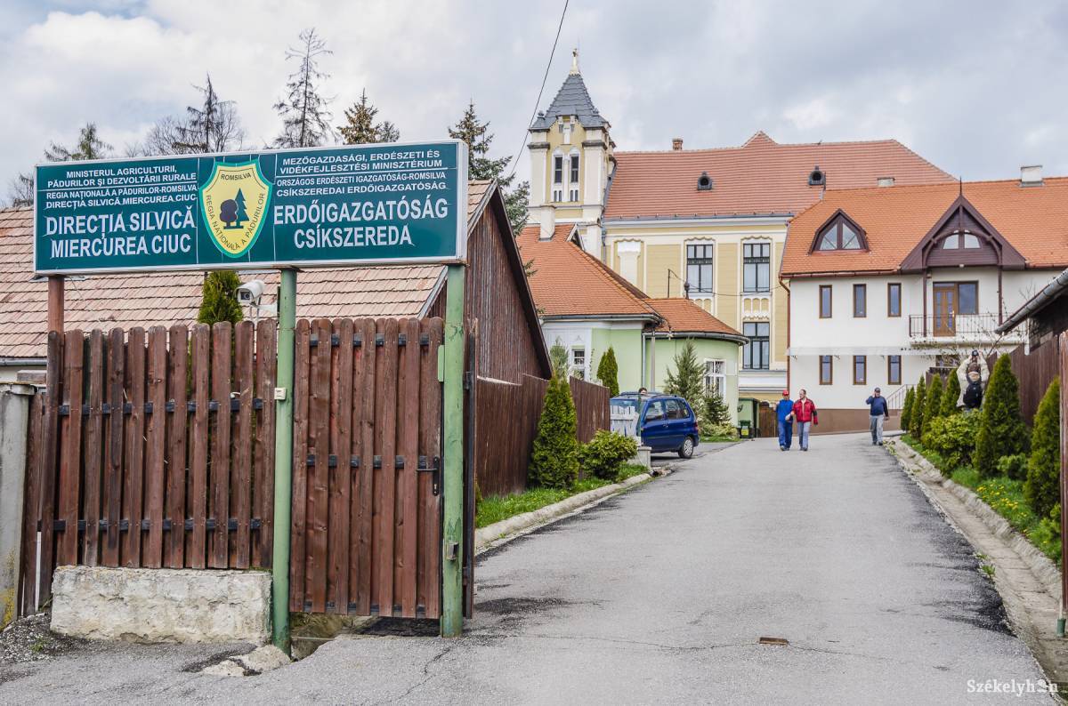 •  Fotó: Veres Nándor