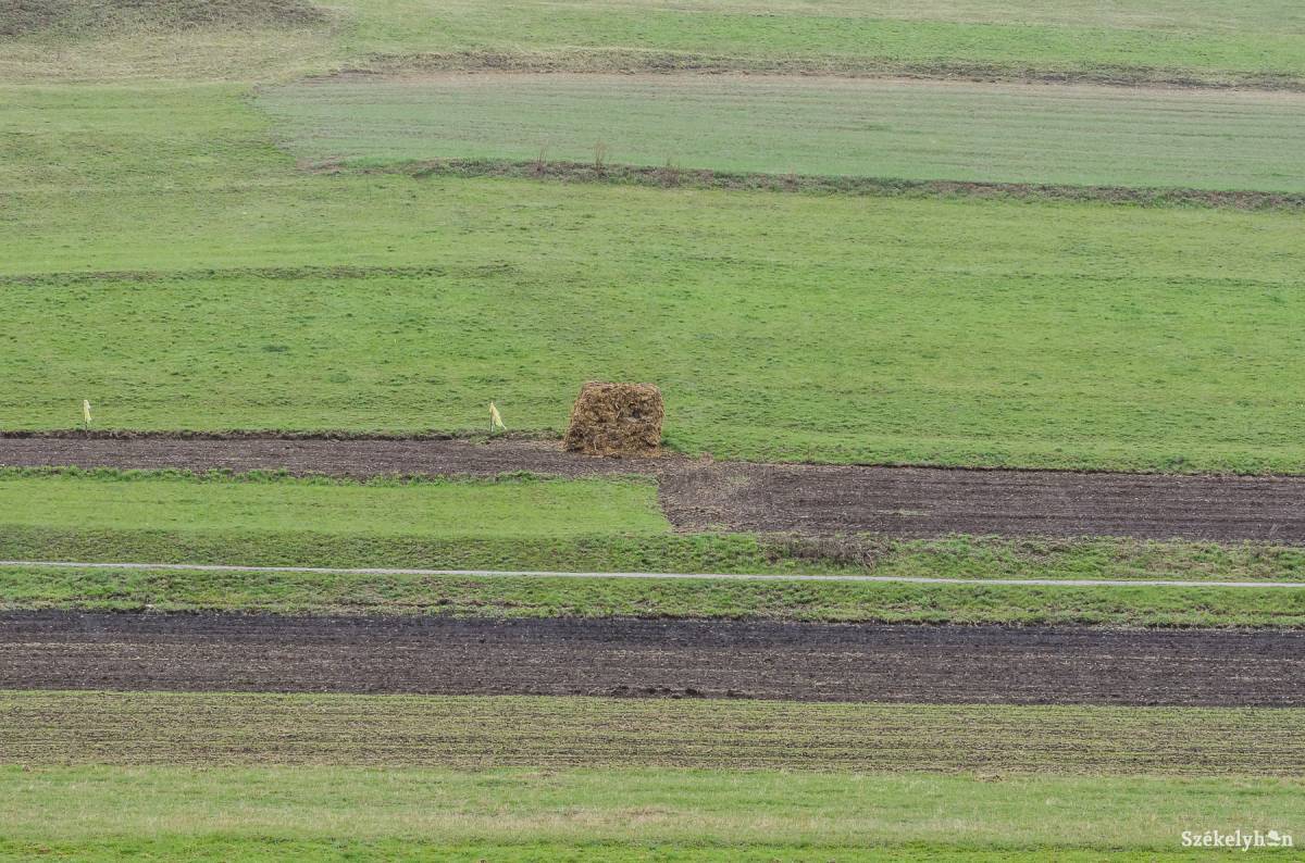 • Fotó: Veres Nándor