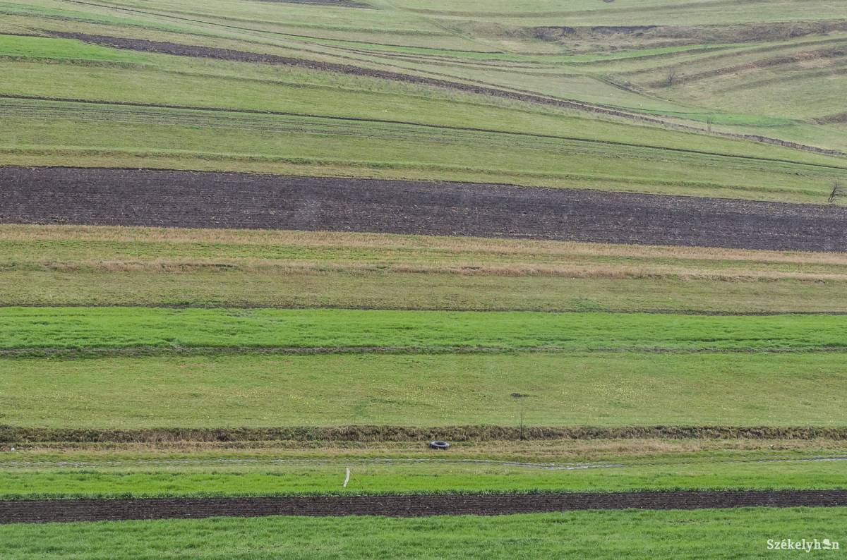 &bullet;  Fotó: Veres Nándor