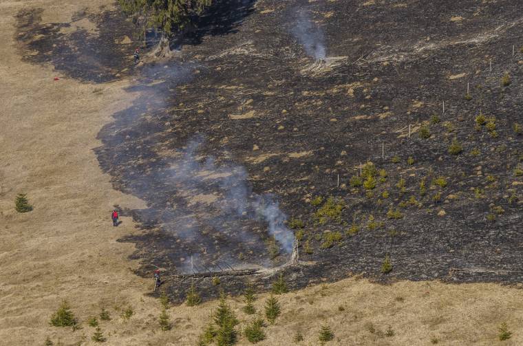 Negyven felperzselődött hektár