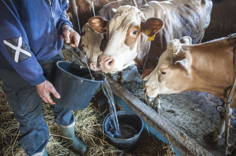 Folyamatosan drágul az ivóvíz