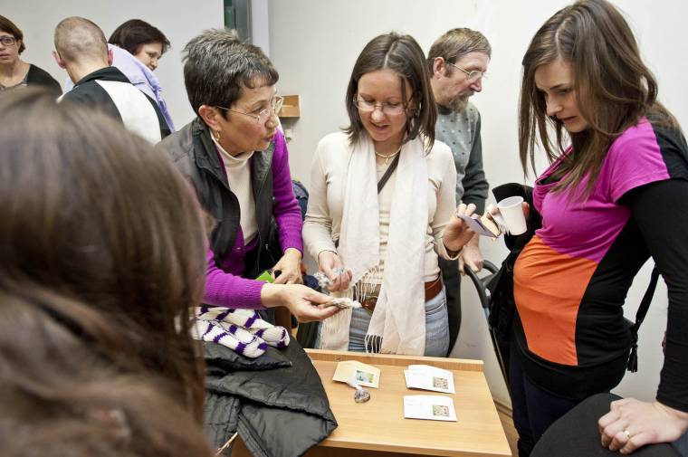 Csodavilág a magok világa