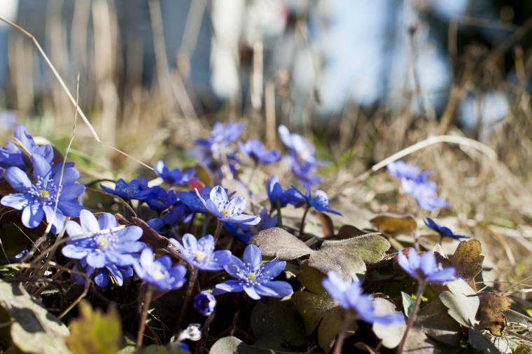 Megdőlt a melegrekord