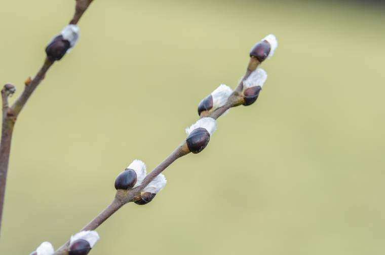 Február is szokatlanul enyhe volt